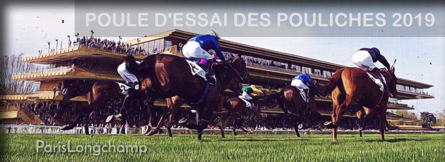20190512-parislongchamp-poule-d-essai-des-pouliches-900.jpg