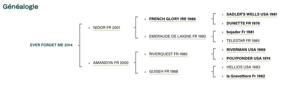 ever-forget-me-2014-pedigree.jpg