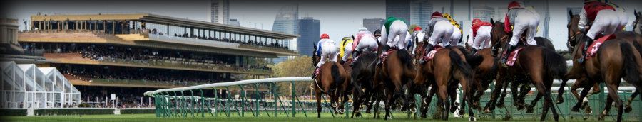 hippodrome-parislongchamp-02-900_2020-08-27.jpg