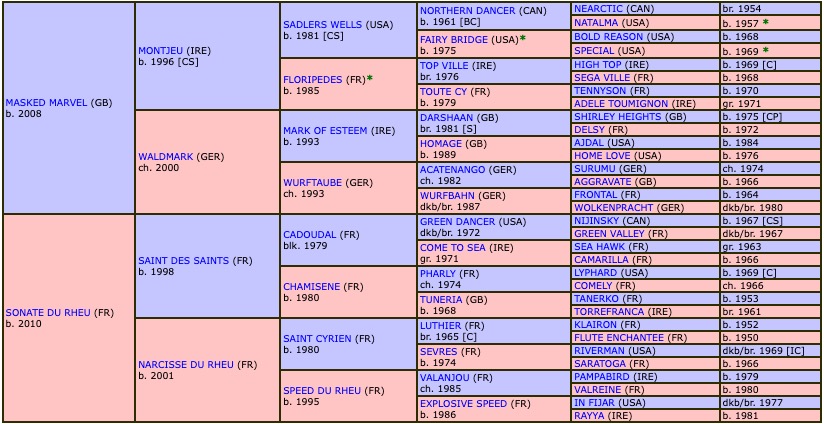 ital-conti-2018-pedigree.jpg