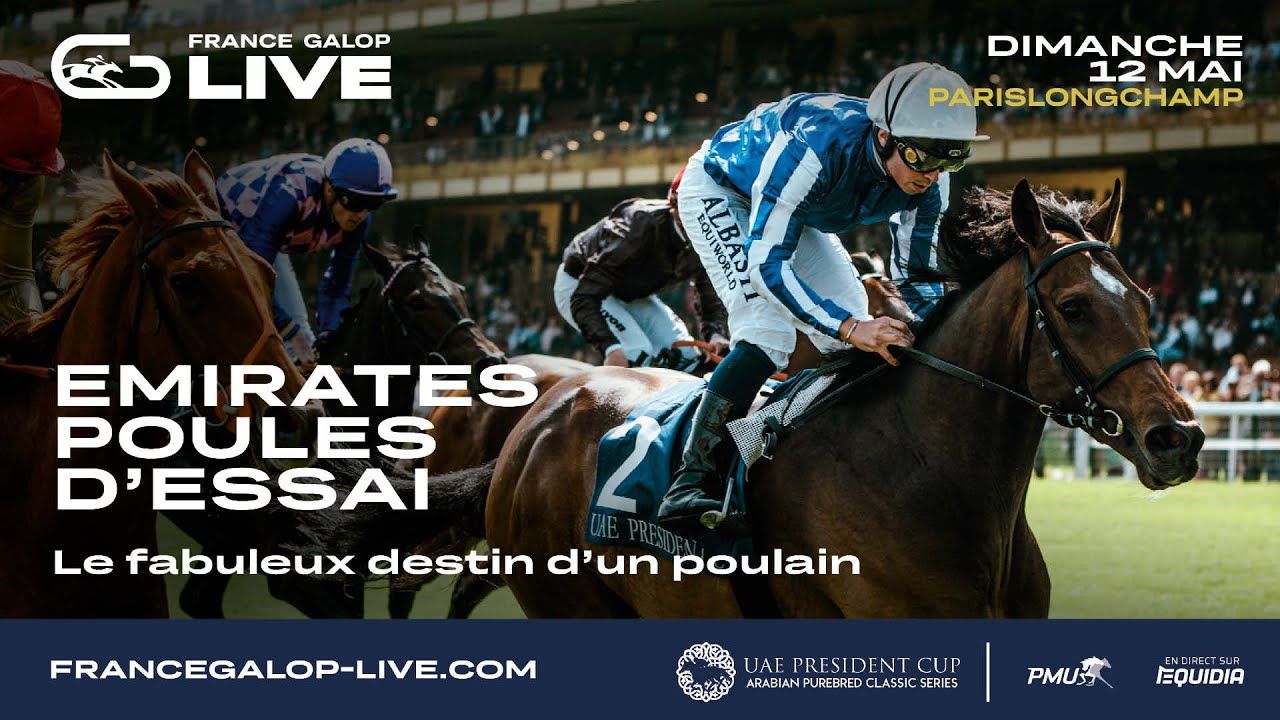 longchamp-poule-dessai-poulains-pouliches-2024.jpg