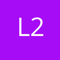 Larmor 29
