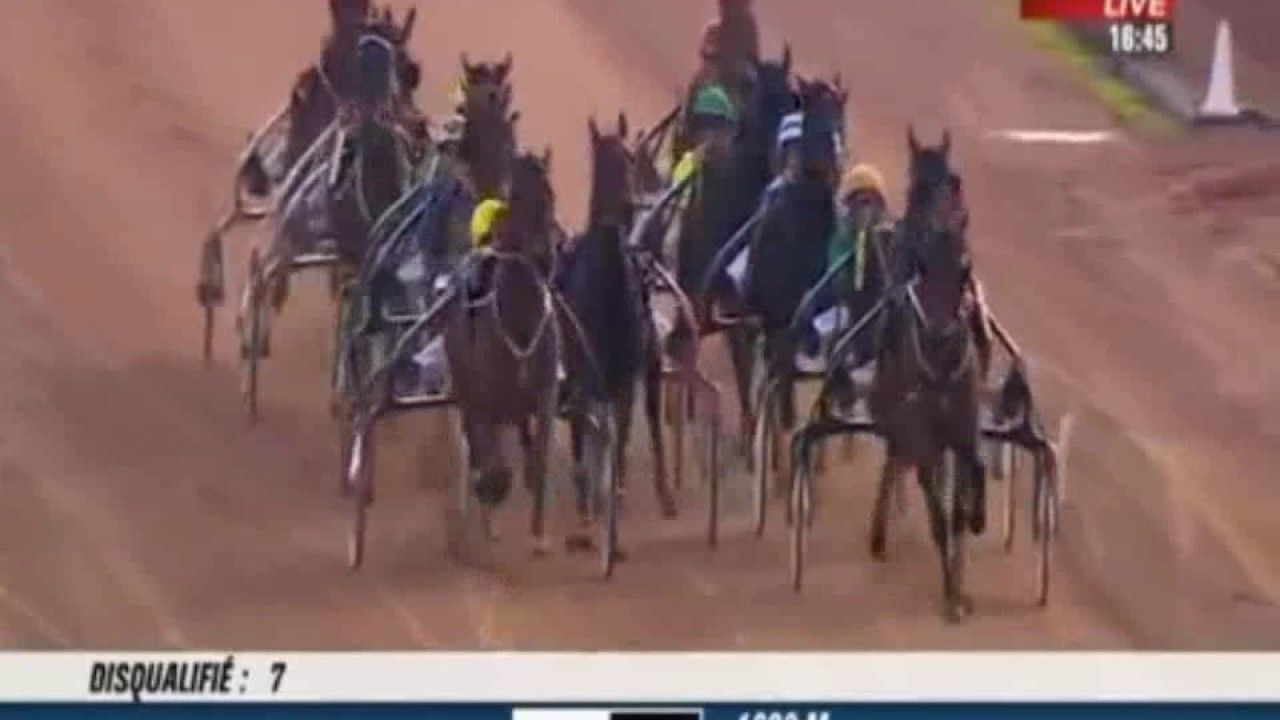GRAND CRITÉRIUM DE VITESSE 2012 (G1, Cagnes) : Santa Rosa France