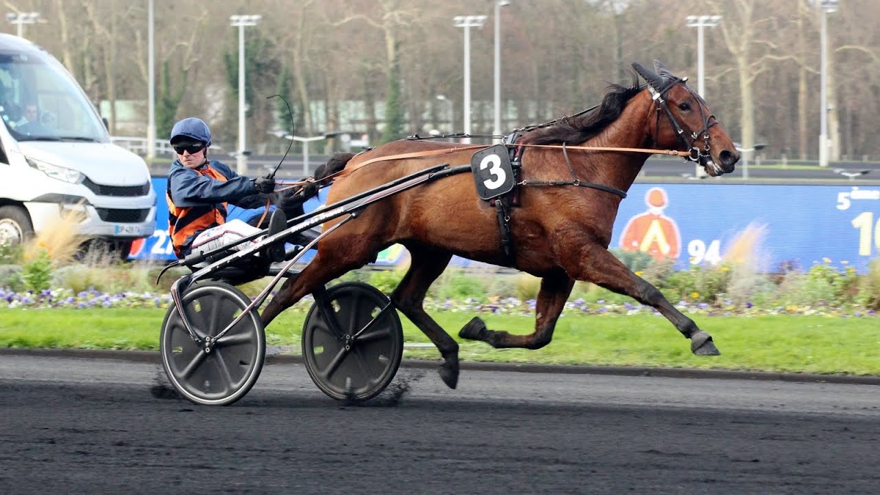 Pronostic pour le Quinté du dimanche 27 février 2022